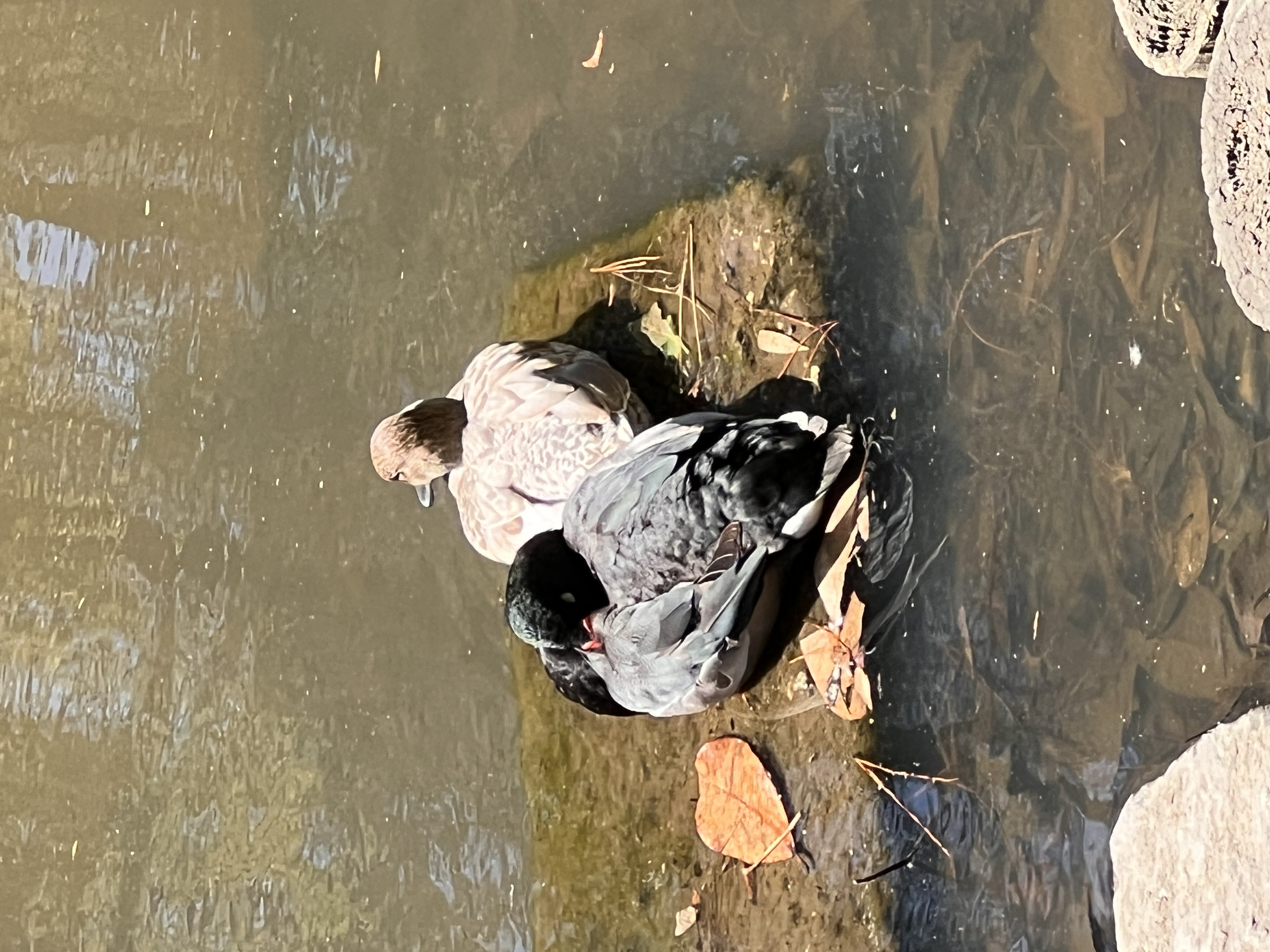 ./2023/05 - Toni Adventures/IMG_3156.JPG